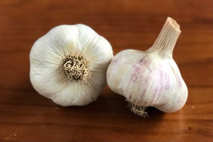 Inchelium Red - Seed Garlic