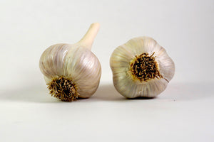 Organic Romanian Red Seed Garlic