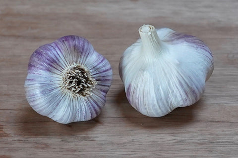 Organic Russian Red Seed Garlic